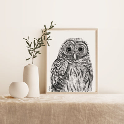 Barred Owl - LE NID atelier