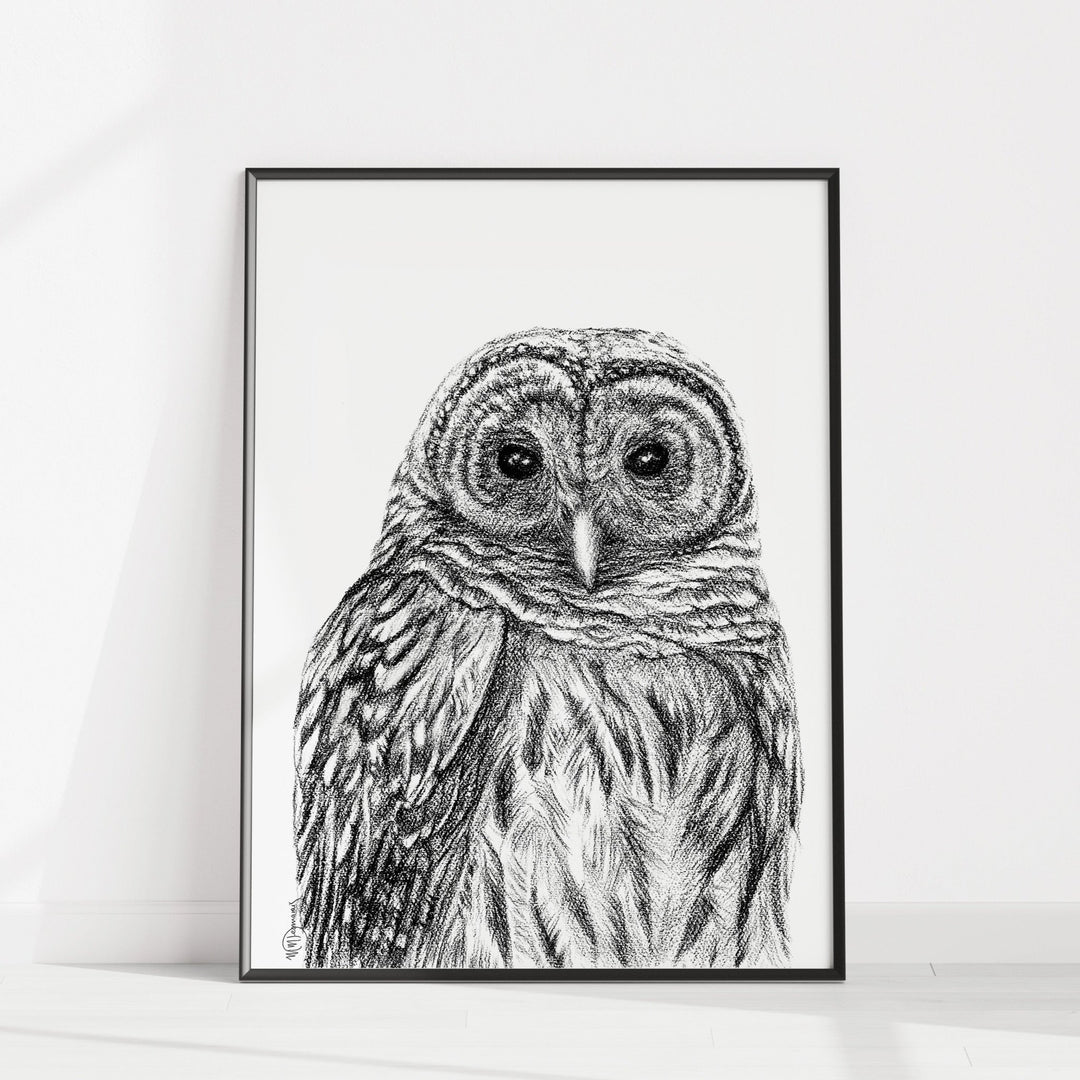 Barred Owl - LE NID atelier