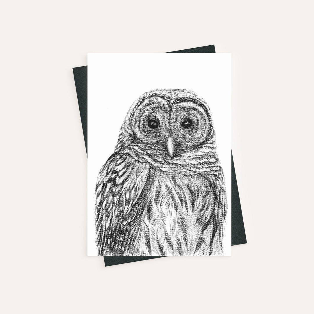 Barred Owl - greeting card - LE NID atelier