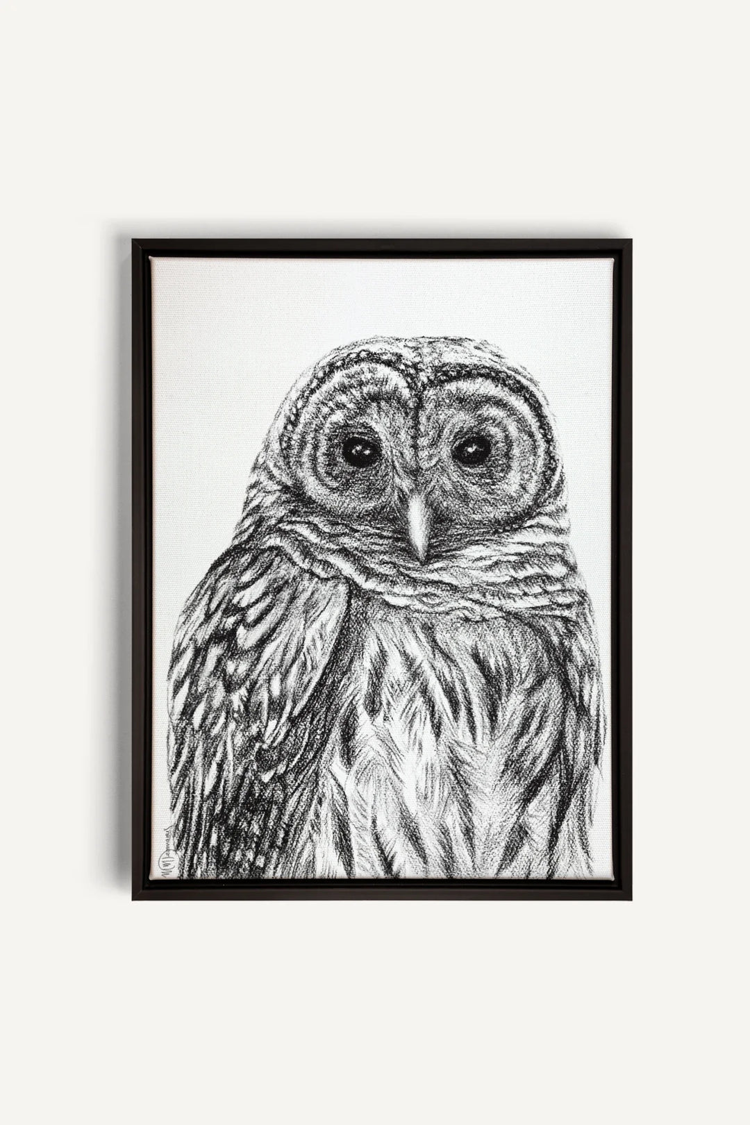 Barred Owl Print, canvas print
