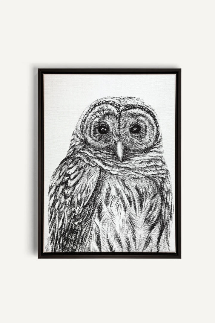 Barred Owl Print, canvas print