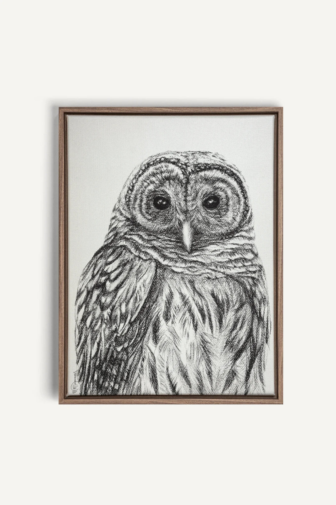 Barred Owl Print, canvas print