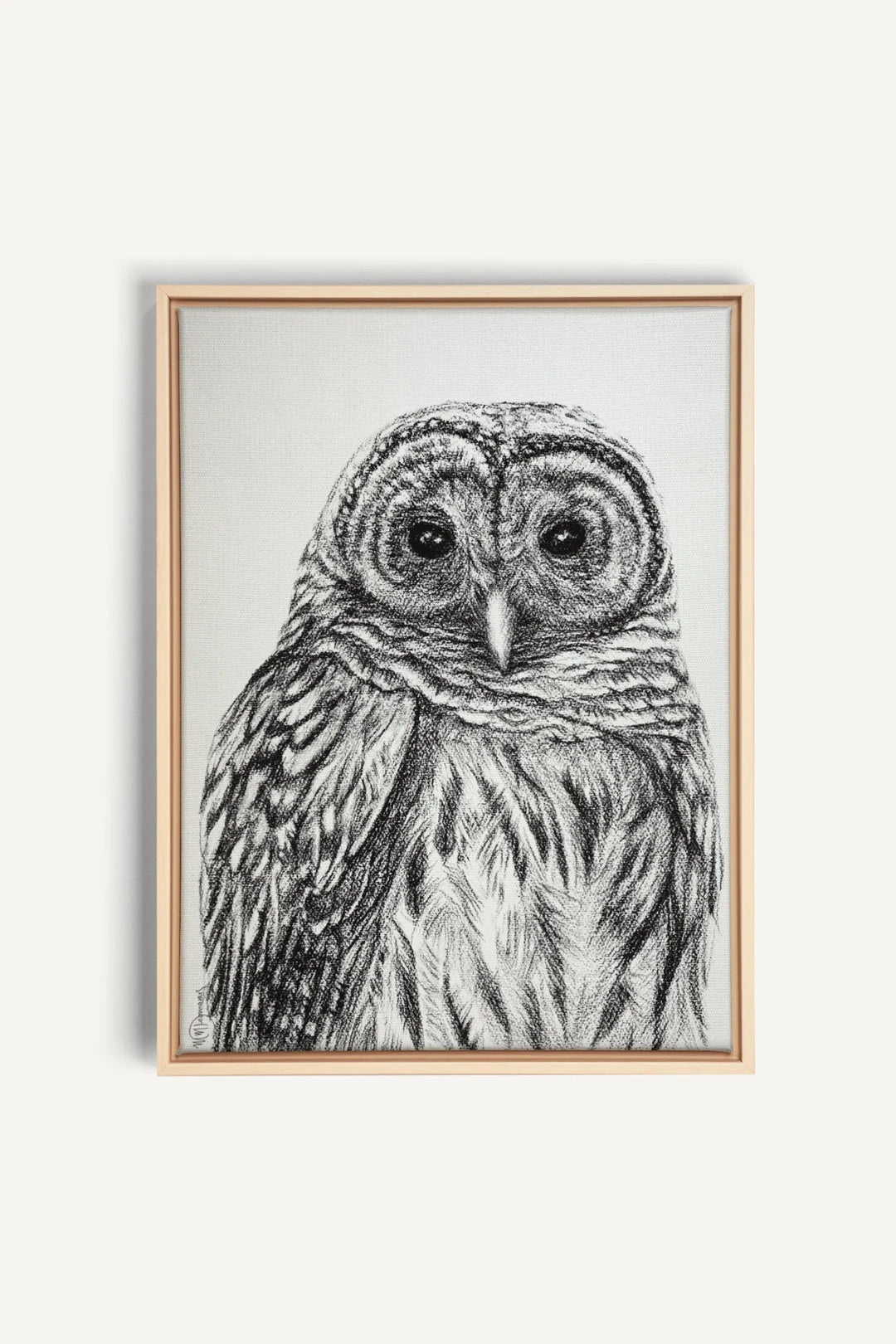 Barred Owl Print, canvas print - LE NID atelier
