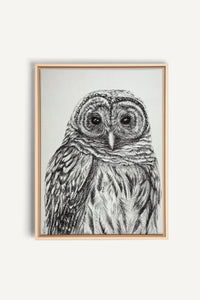 Hibou rayé, impression sur toile