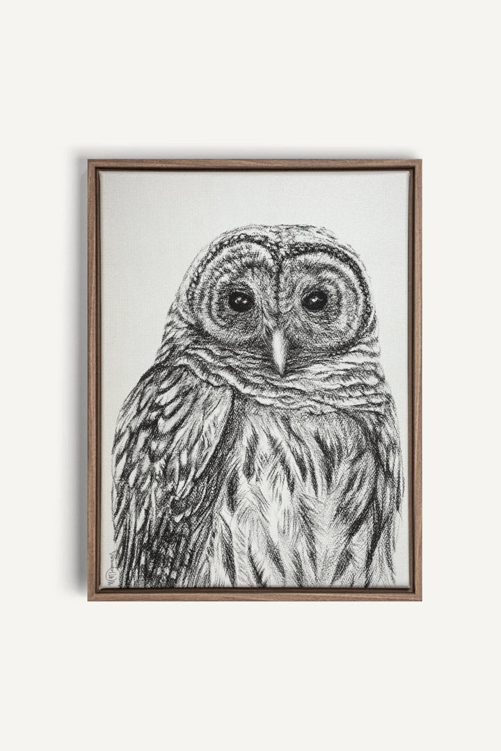 Barred Owl Print, canvas print - LE NID atelier
