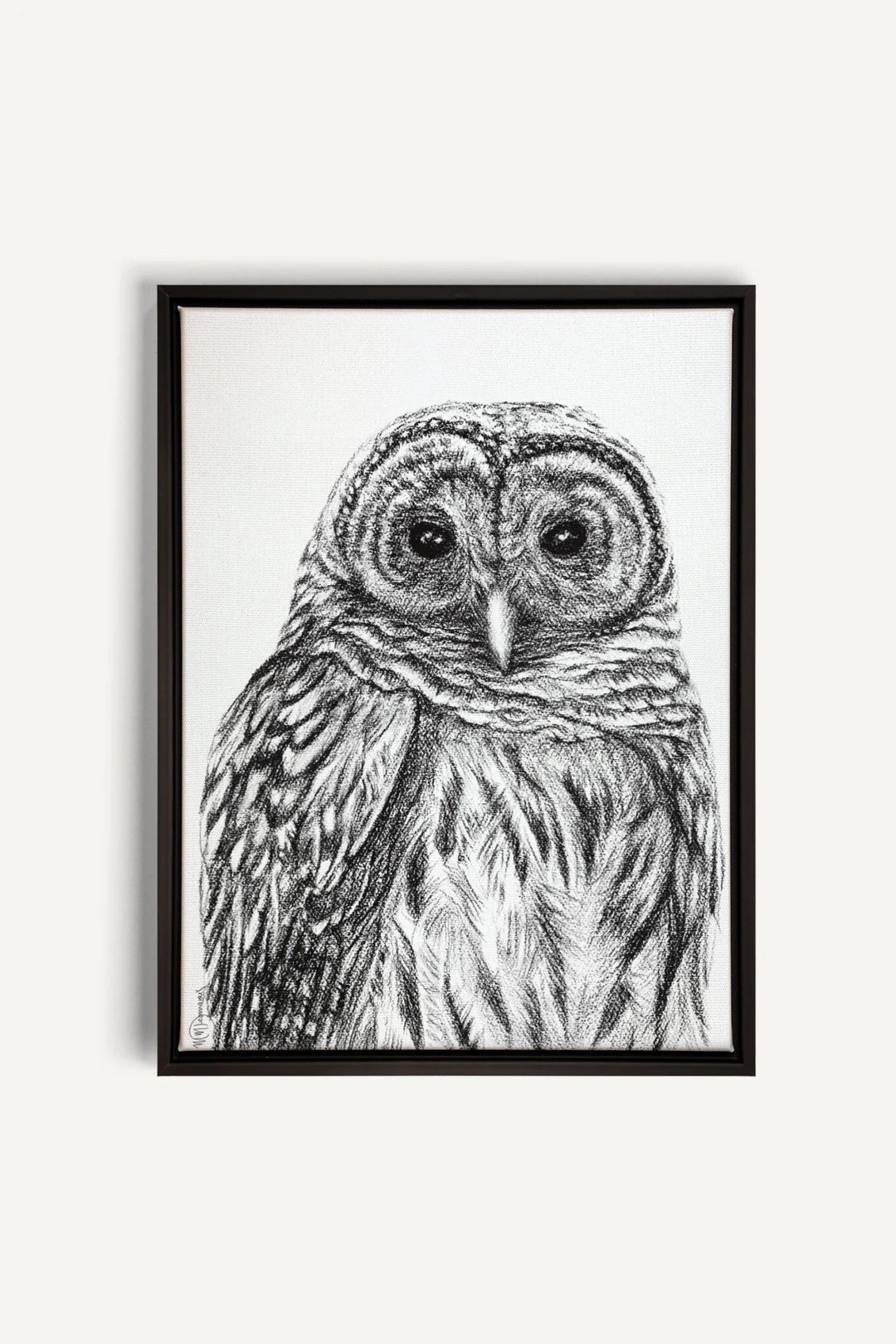 Barred Owl Print, canvas print - LE NID atelier
