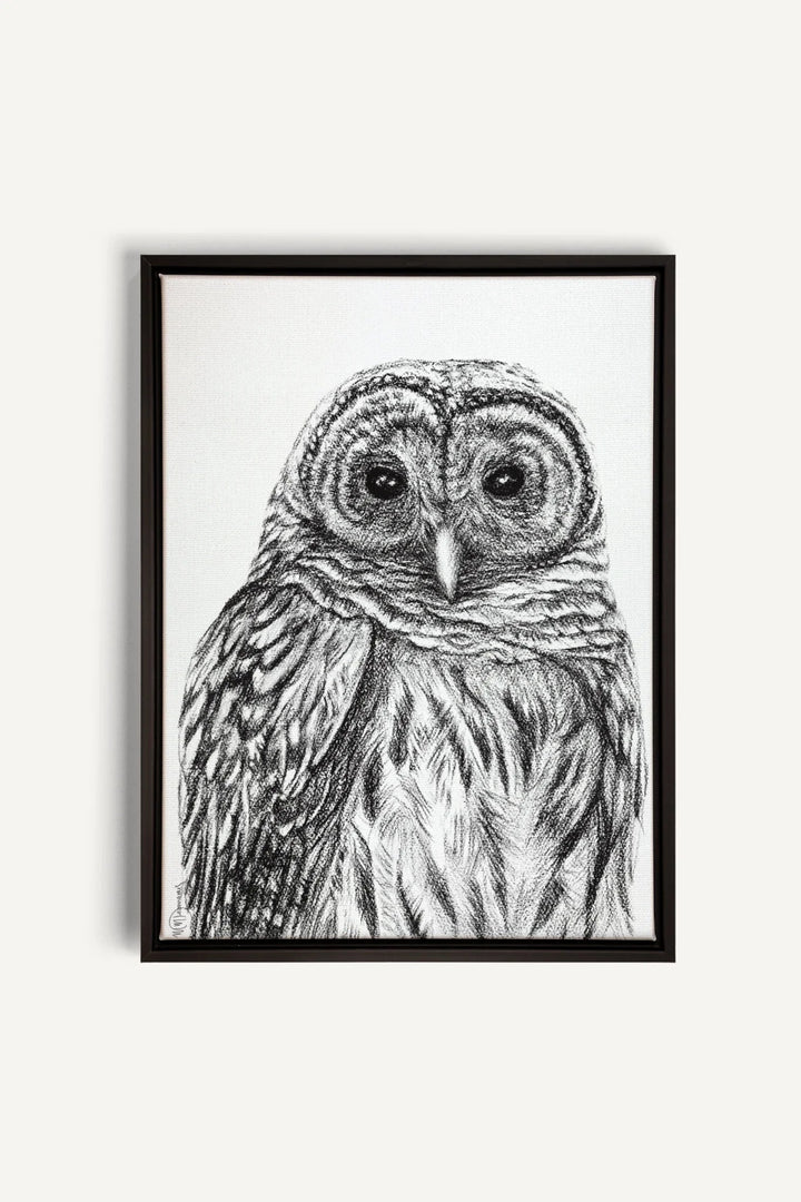 Barred Owl Print, canvas print - LE NID atelier