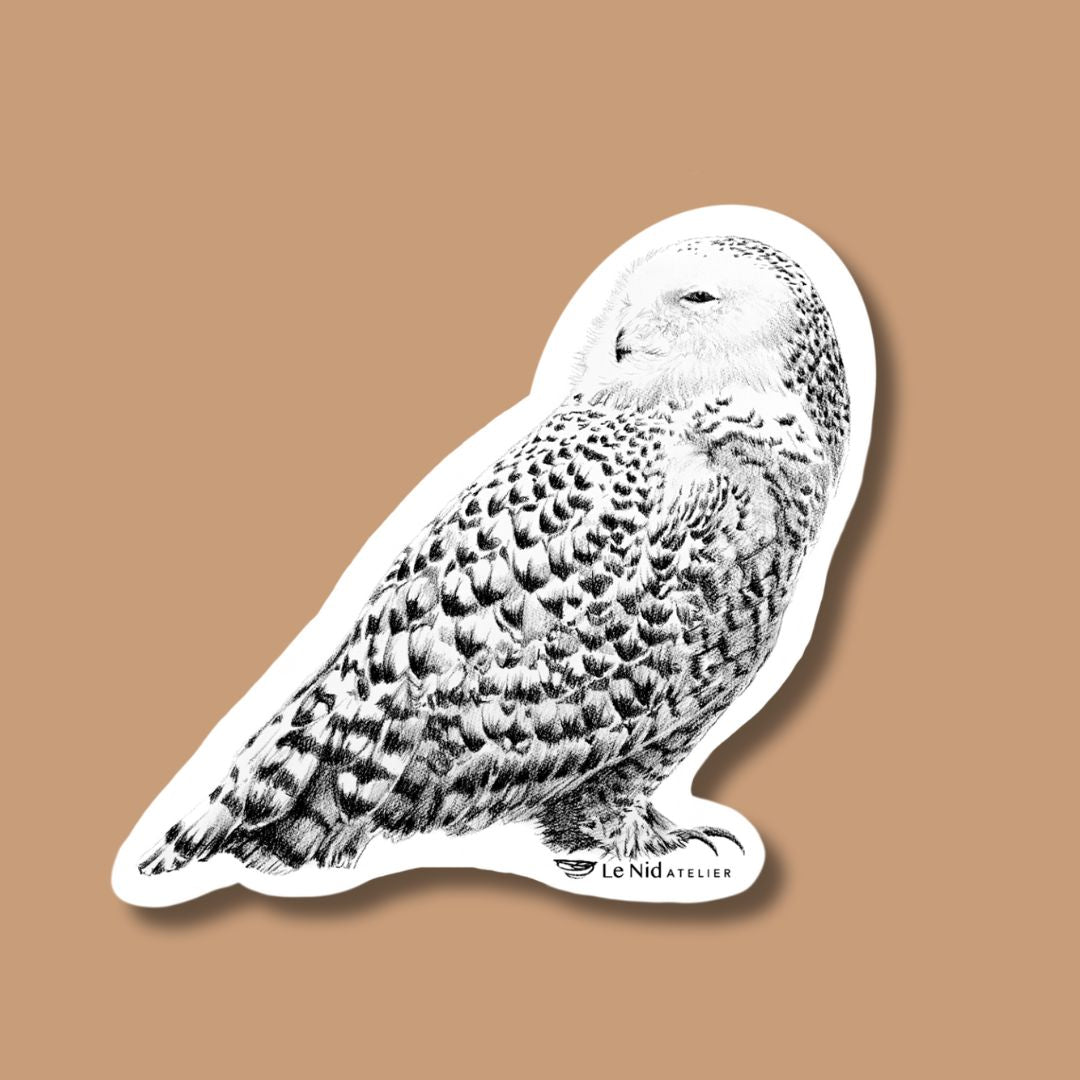 Beautiful Snowy Owl Sticker for Water Bottle, Agenda or Computer (Copie) - LE NID atelier