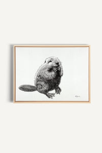 Beaver, canvas print