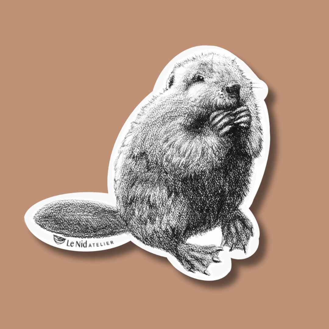 Beaver Sticker for Water Bottle, Agenda or Computer - LE NID atelier