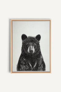 Black Bear Portrait, canvas print