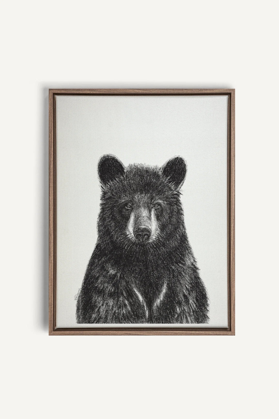 Black Bear Portrait, canvas print