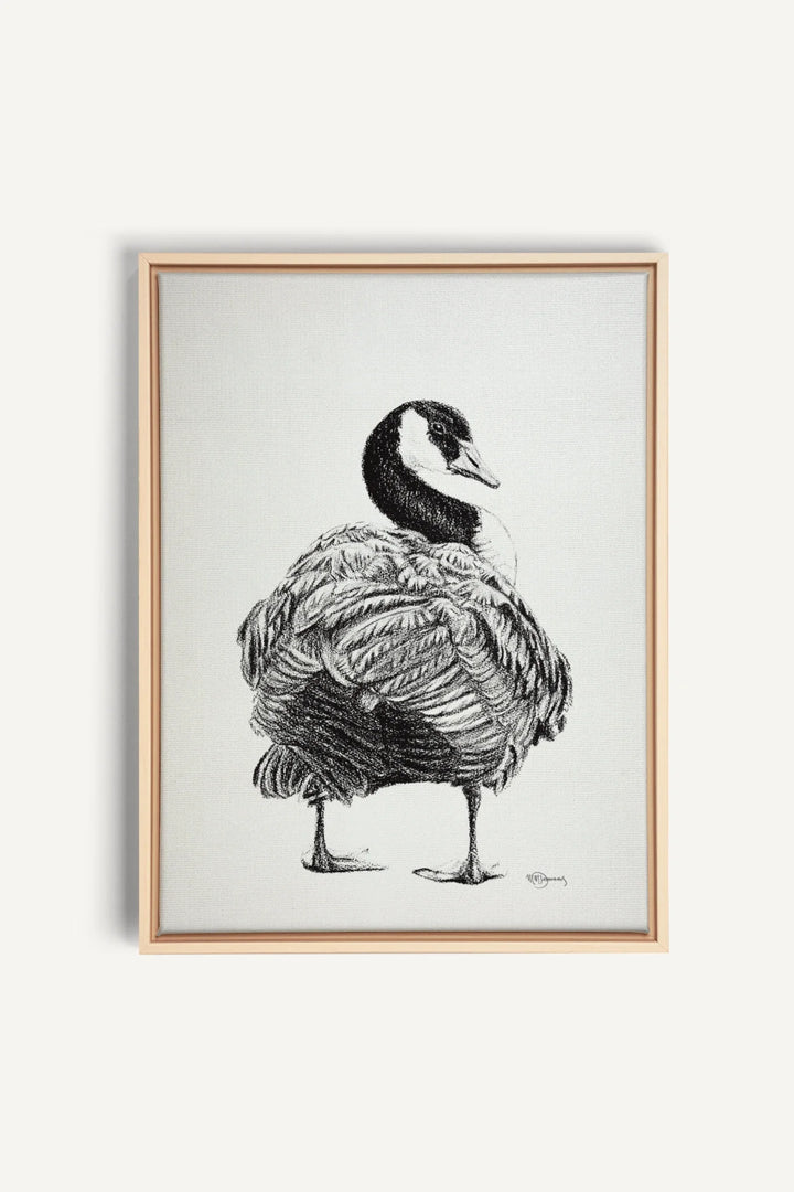 Canada Goose, canvas print