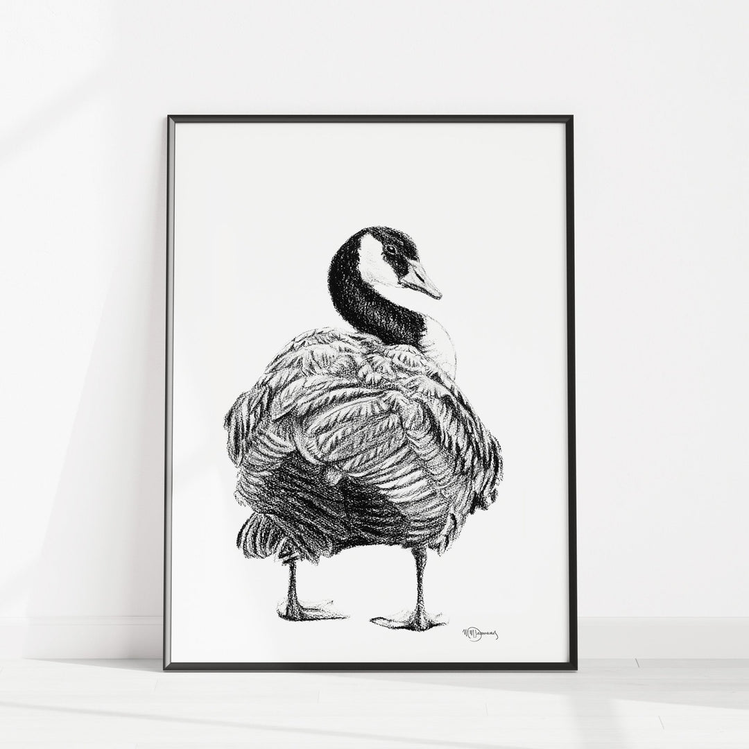 Canada Goose Illustration - LE NID atelier