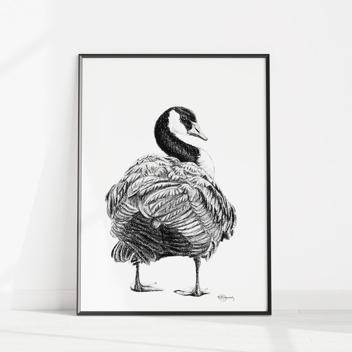 Canada Goose Illustration - LE NID atelier
