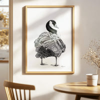 Bernache - affiche -cadre déco animaux de la forêt
