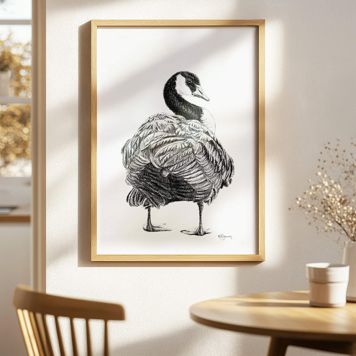 Canada Goose Illustration - LE NID atelier