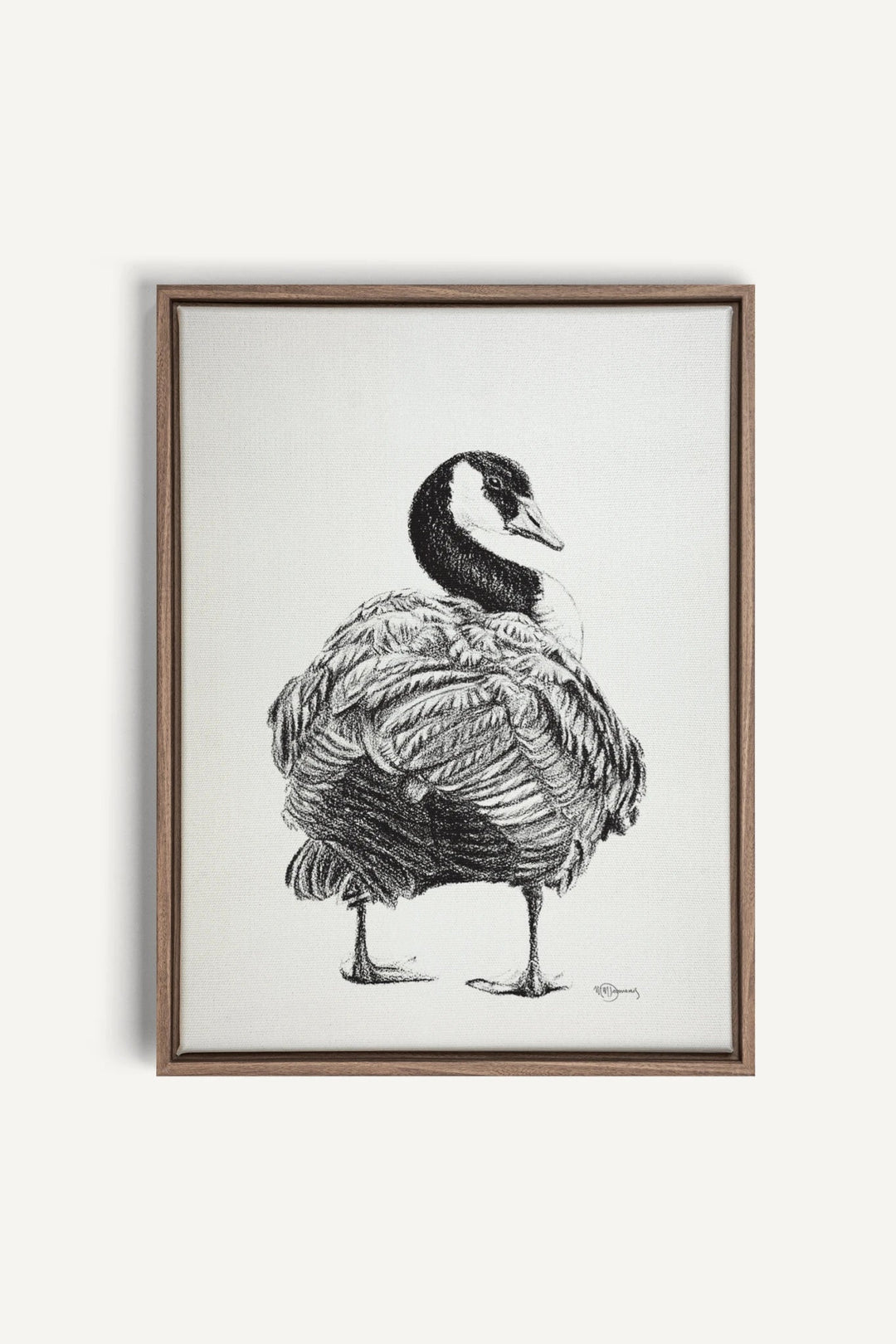 Canada Goose, canvas print