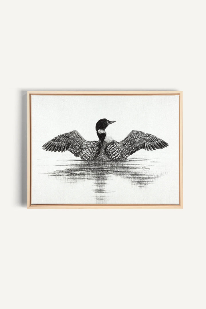 Canadian Loon, canvas print