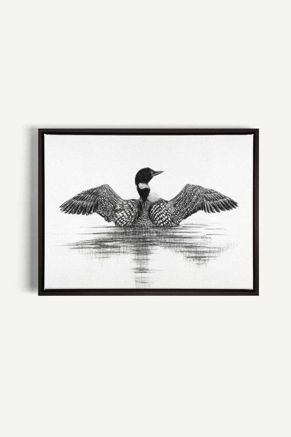 Canadian Loon, canvas print - LE NID atelier
