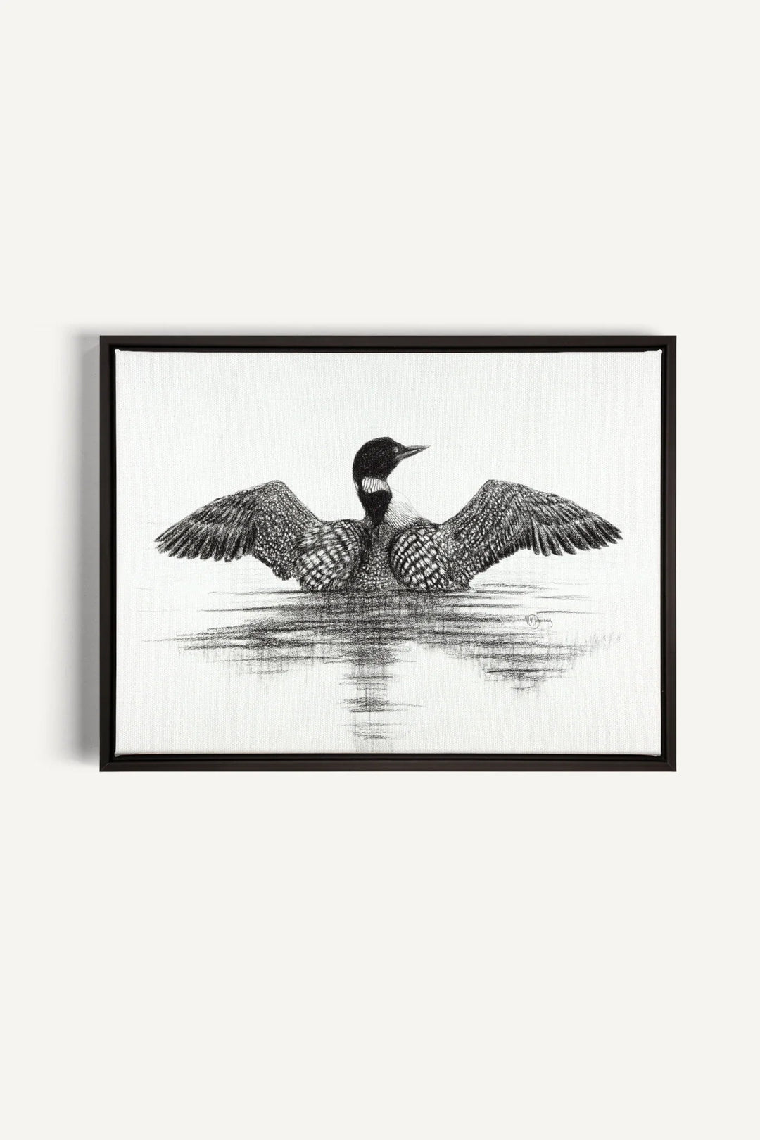 Canadian Loon, canvas print - LE NID atelier