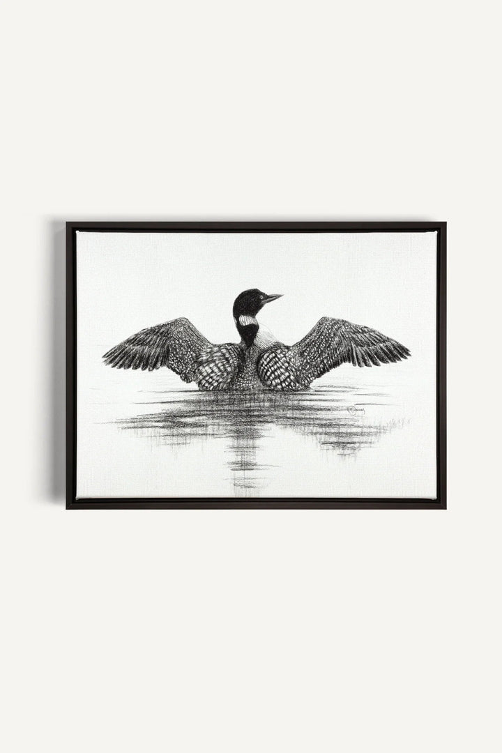 Canadian Loon, canvas print - LE NID atelier