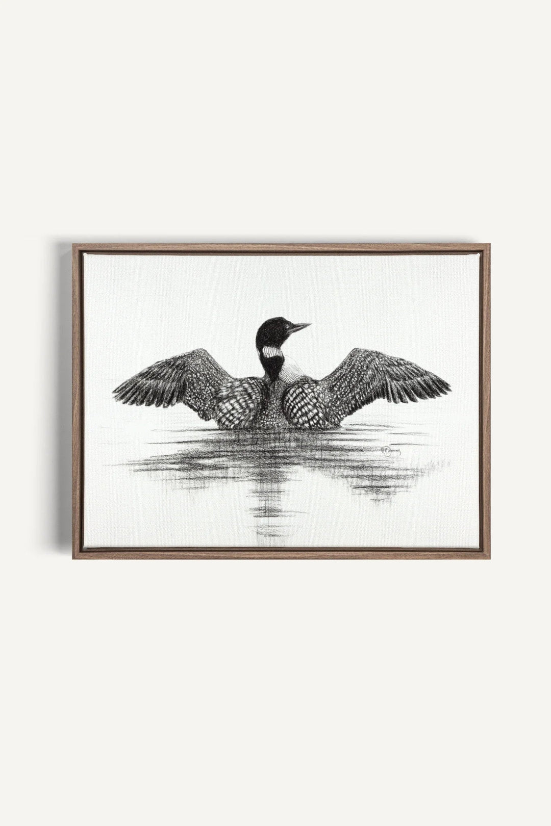 Canadian Loon, canvas print - LE NID atelier