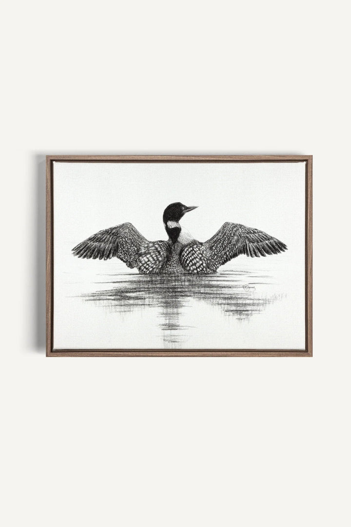 Canadian Loon, canvas print - LE NID atelier