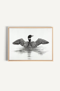 Canadian Loon, canvas print