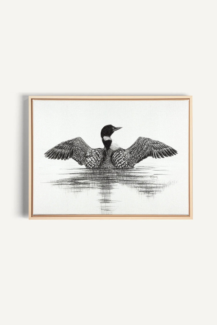 Canadian Loon, canvas print - LE NID atelier