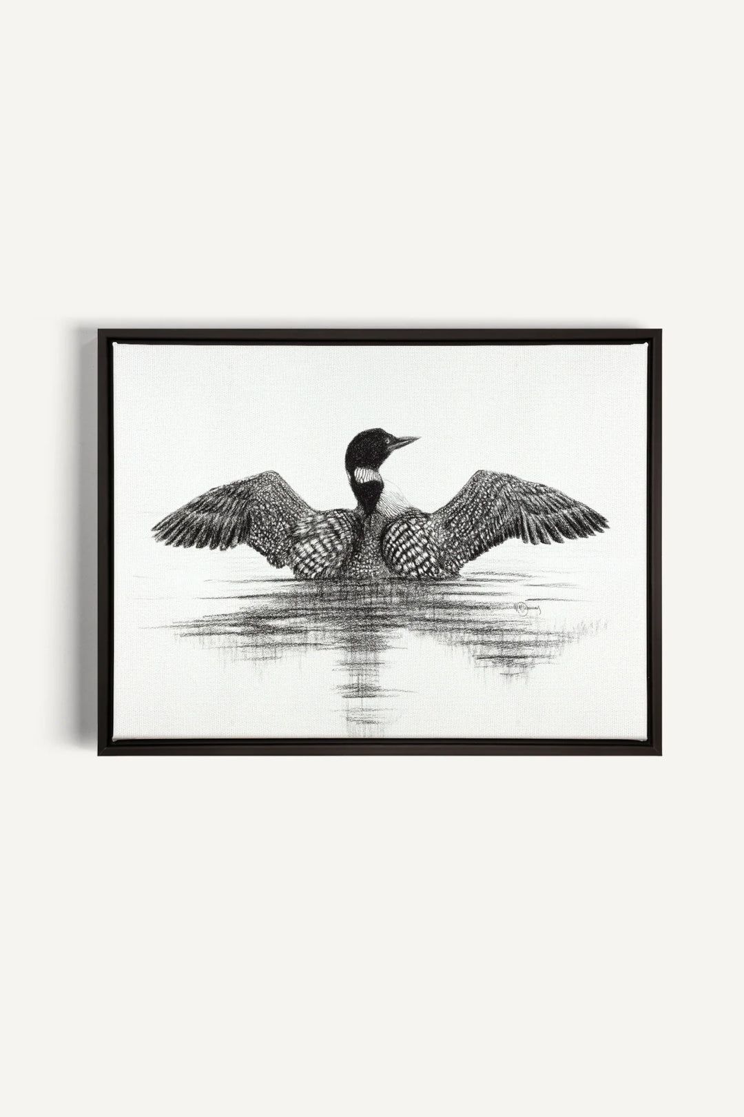 Canadian Loon, canvas print