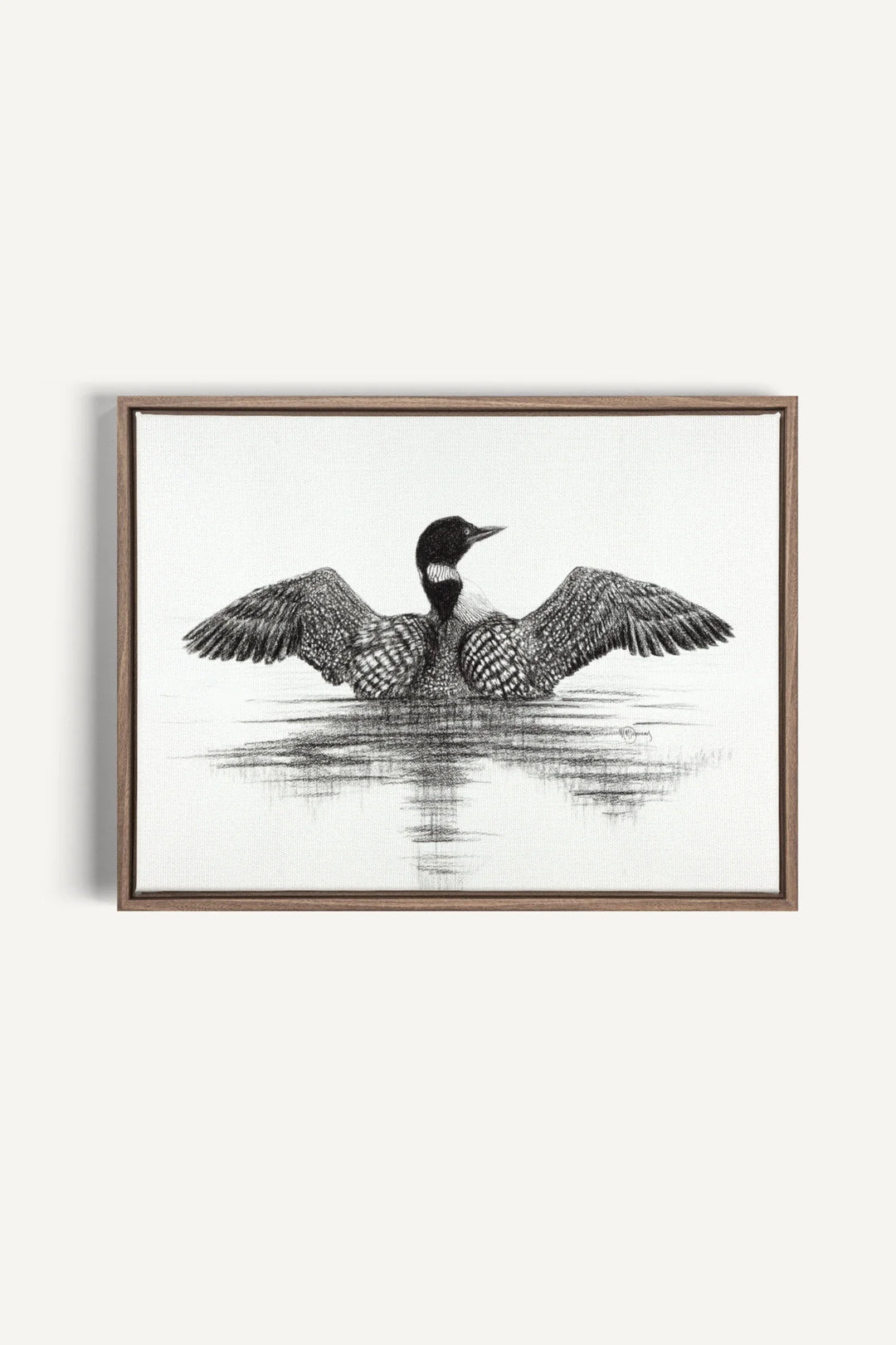 Canadian Loon, canvas print