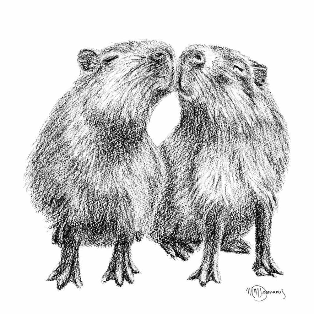 Capybaras - greeting card - LE NID atelier