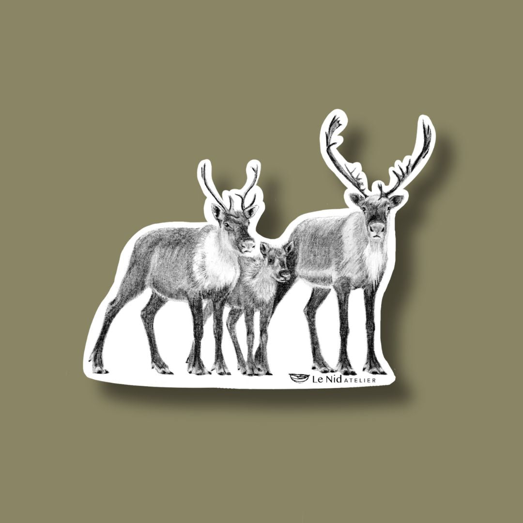 Caribous Family Sticker for Water Bottle, Agenda or Computer - LE NID atelier