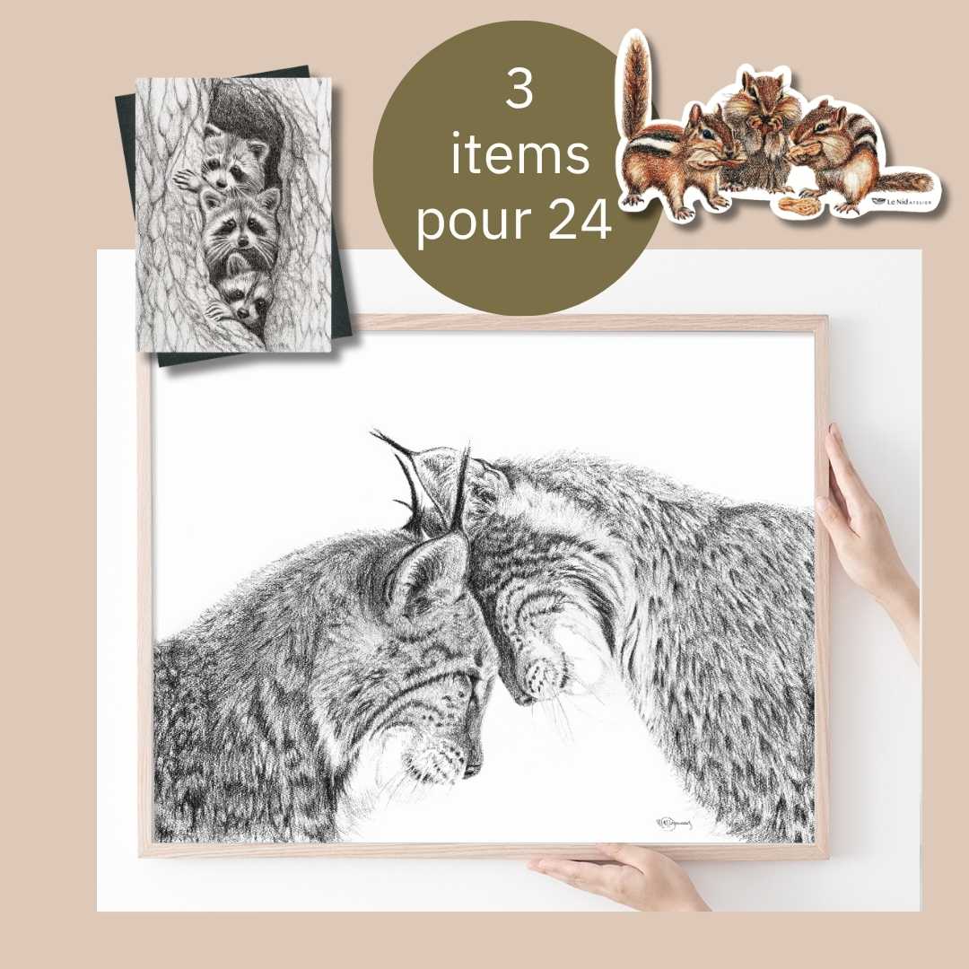 CHOICE - One 8x10 print + 1 print + 1 sticker - LE NID atelier