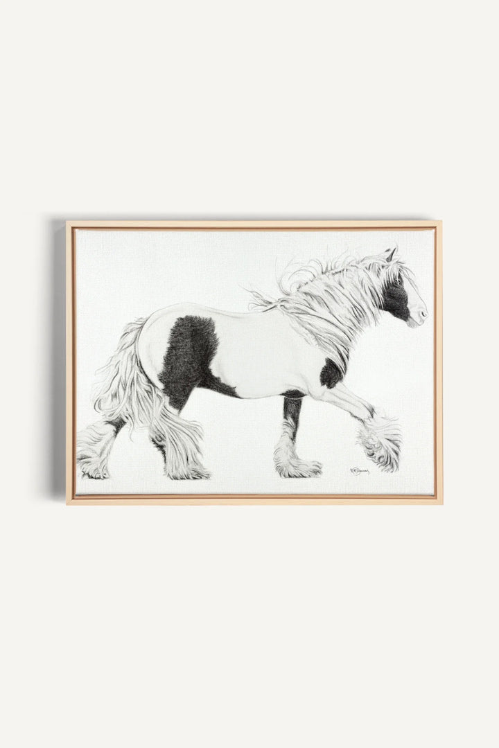 Cob Gypsy Horse, canvas print