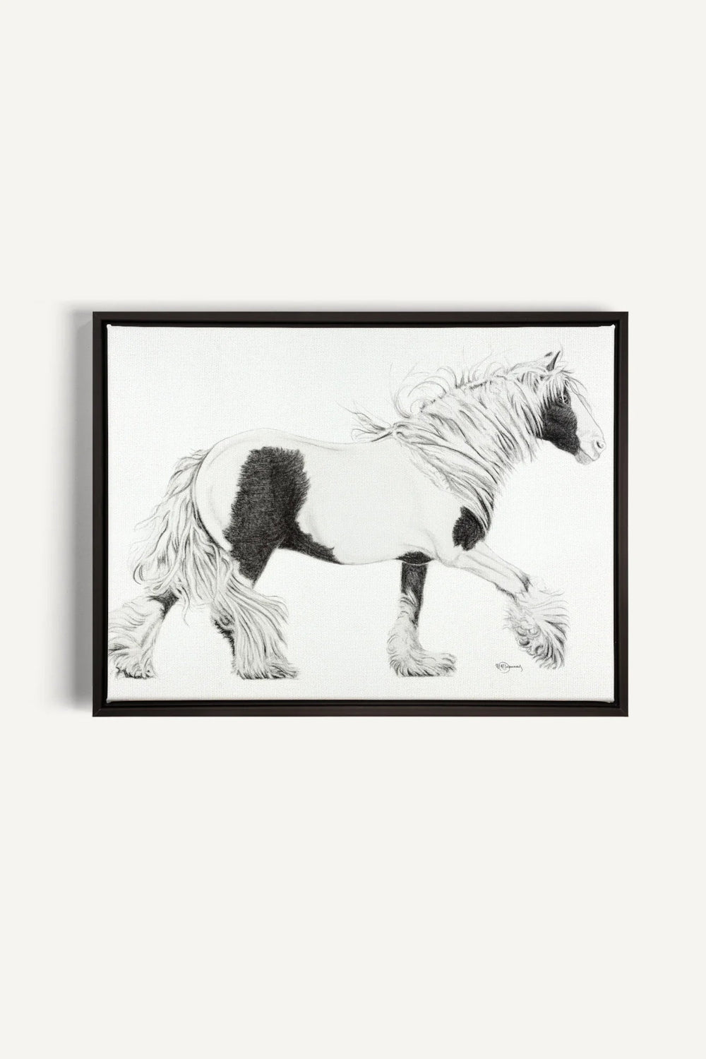 Cob Gypsy Horse, canvas print - LE NID atelier
