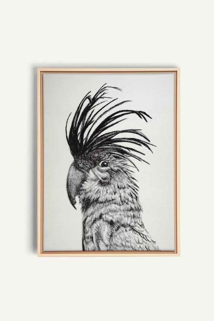 Cockatoo Portrait, canvas print
