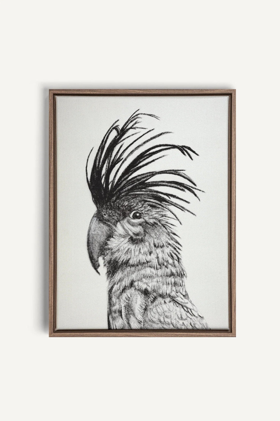 Cockatoo Portrait, canvas print - LE NID atelier