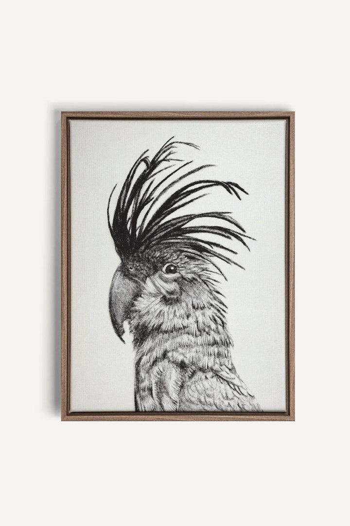 Cockatoo Portrait, canvas print - LE NID atelier