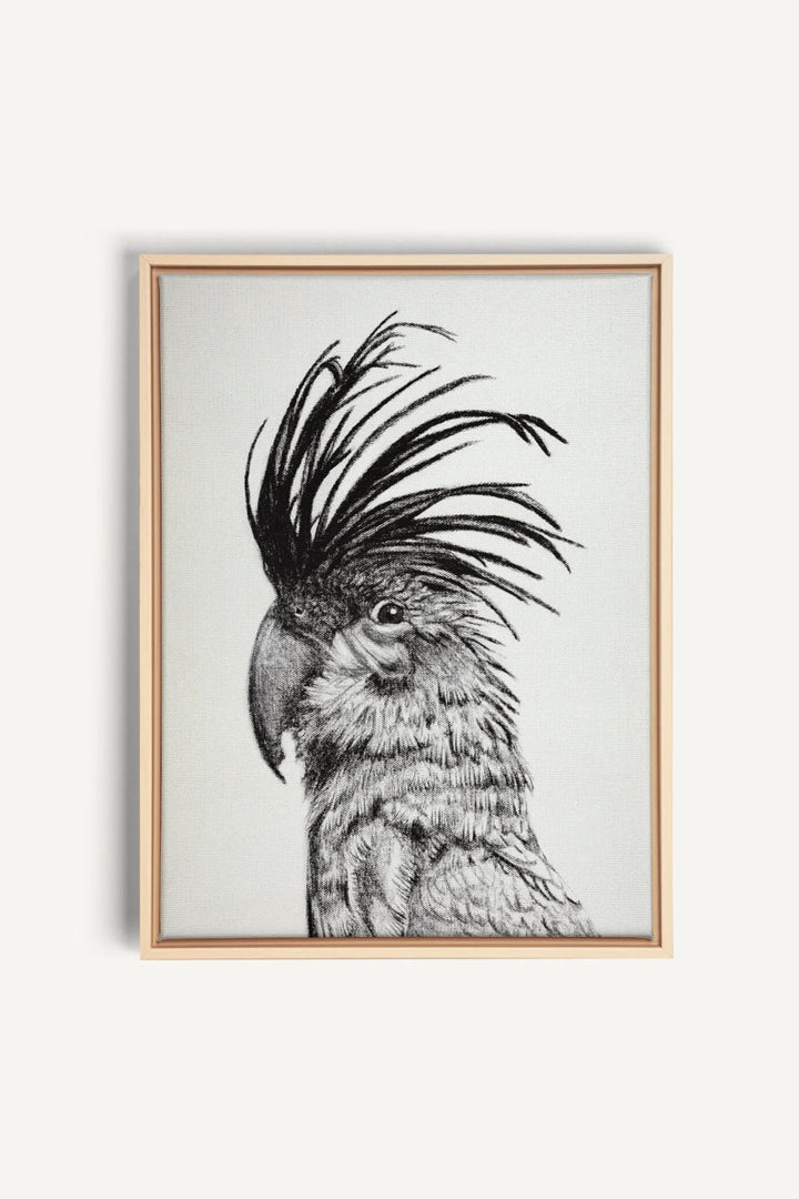 Cockatoo Portrait, canvas print - LE NID atelier