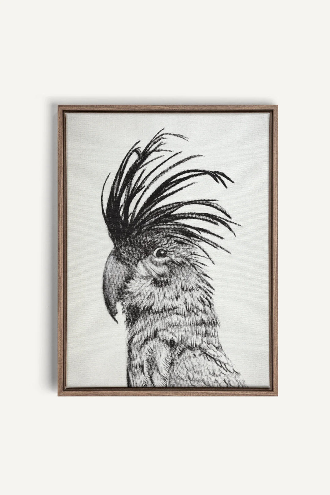 Cockatoo Portrait, canvas print