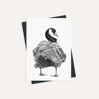 Canada Goose - greeting card