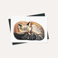 Renard endormi - carte de souhaits