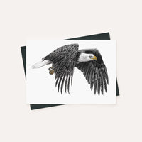 Bald Eagle  - greeting card