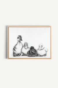 Cute Baby Ducklings, canvas print