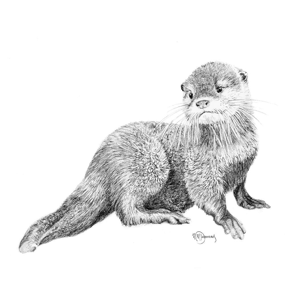 Cute Baby Otter - art print - LE NID atelier