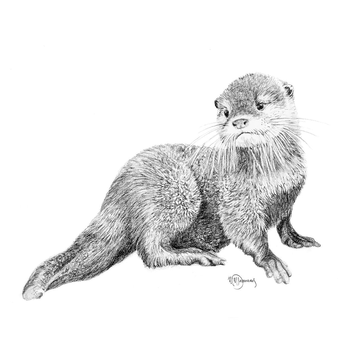Cute Baby Otter - art print - LE NID atelier