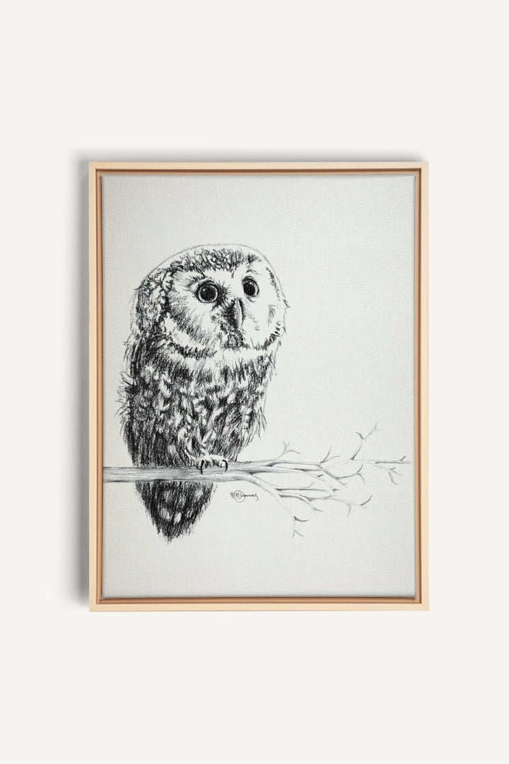 Cute Baby Owl, canvas print