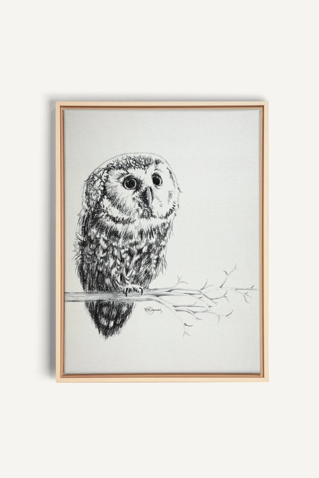 Cute Baby Owl, canvas print - LE NID atelier